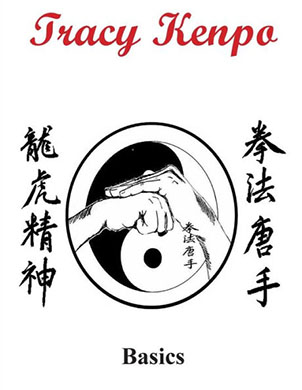 american kenpo karate manual pdf